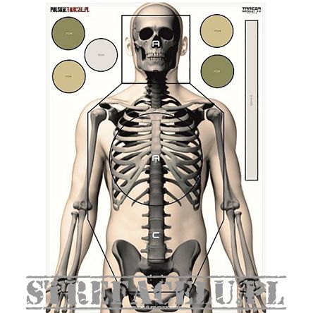 Shooting Target Skeleton, Pieces : 1, Manufacturer : polskietarcze.pl