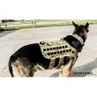 Dog Harness, Manufacturer : Raptor Tactical (USA), Model : K9 Zephyr MK2 Dog Harness, Color : Coyote Brown - 6