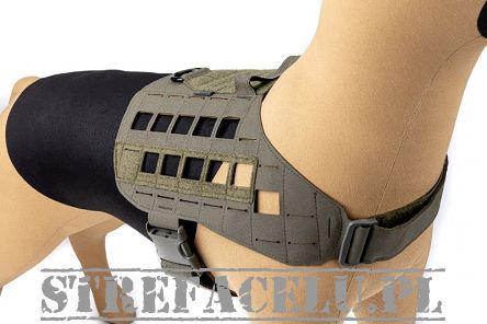Dog Harness, Manufacturer : Raptor Tactical (USA), Model : K9 Zephyr MK1 Dog Harness, Color : Ranger Green