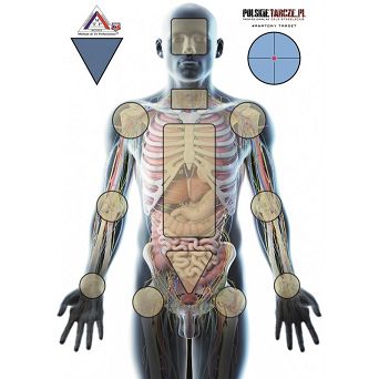 Shooting Target Anatomy, Pieces : 1, Manufacturer : polskietarcze.pl