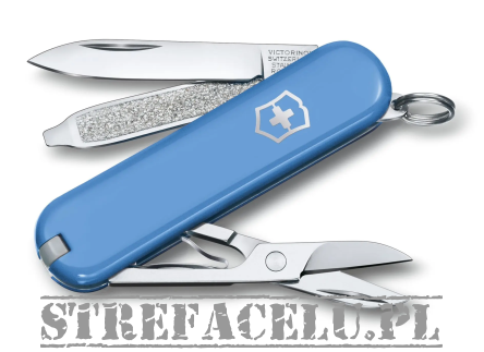 Victorinox Knife Classic SD Colors, 58mm, Celidor, 
