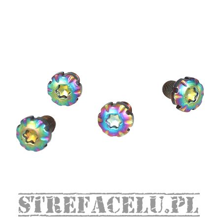 Śruby okładzin BUL 1911 kpl. 4 szt. - Grip Screw Titanium Rainbow #10107