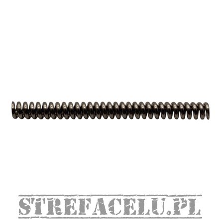 IWI Tavor X95 SPRING, EJECTOR 5,56 NATO