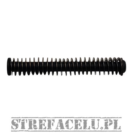 Zespół sprężyny powrotnej IWI Masada Recoil Spring Assembly