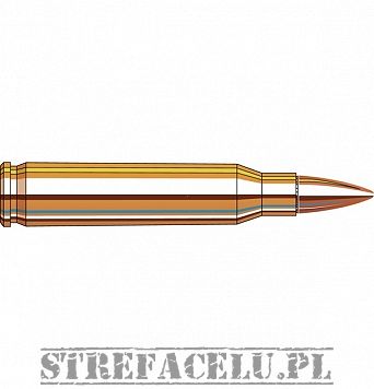 Amunicja Hornady FMJ-BT 55gr/3.56g // .223 REM