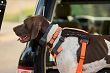 Uprząż - szelki dla psa 5.11 MISSION READY DOG HARNESS, Kolor: FLUORSCN ORG - 4