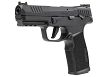 Rimfire Pistol, Manufacturer : Sig Sauer (USA), Model : P322, Caliber : 22 LR - 2