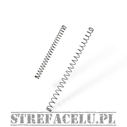Sprężyny powrotne rozmiar M do pistoletów IWI Jericho 941 / Jericho II Enhanced