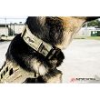 Dogs Collar, Model : K9 Odin Collar, Manufacturer : Raptor Tactical (USA), Color : Black - 7