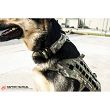 Dogs Collar, Model : K9 Odin Collar, Manufacturer : Raptor Tactical (USA), Color : Black - 8