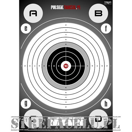 Shooting Target TS-2, Pieces : 1, Manufacturer : polskietarcze.pl