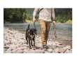Obroża dla psa - 5.11 MISSION READY DOG COLLAR, Kolor: BDLD TN PCTN - 6